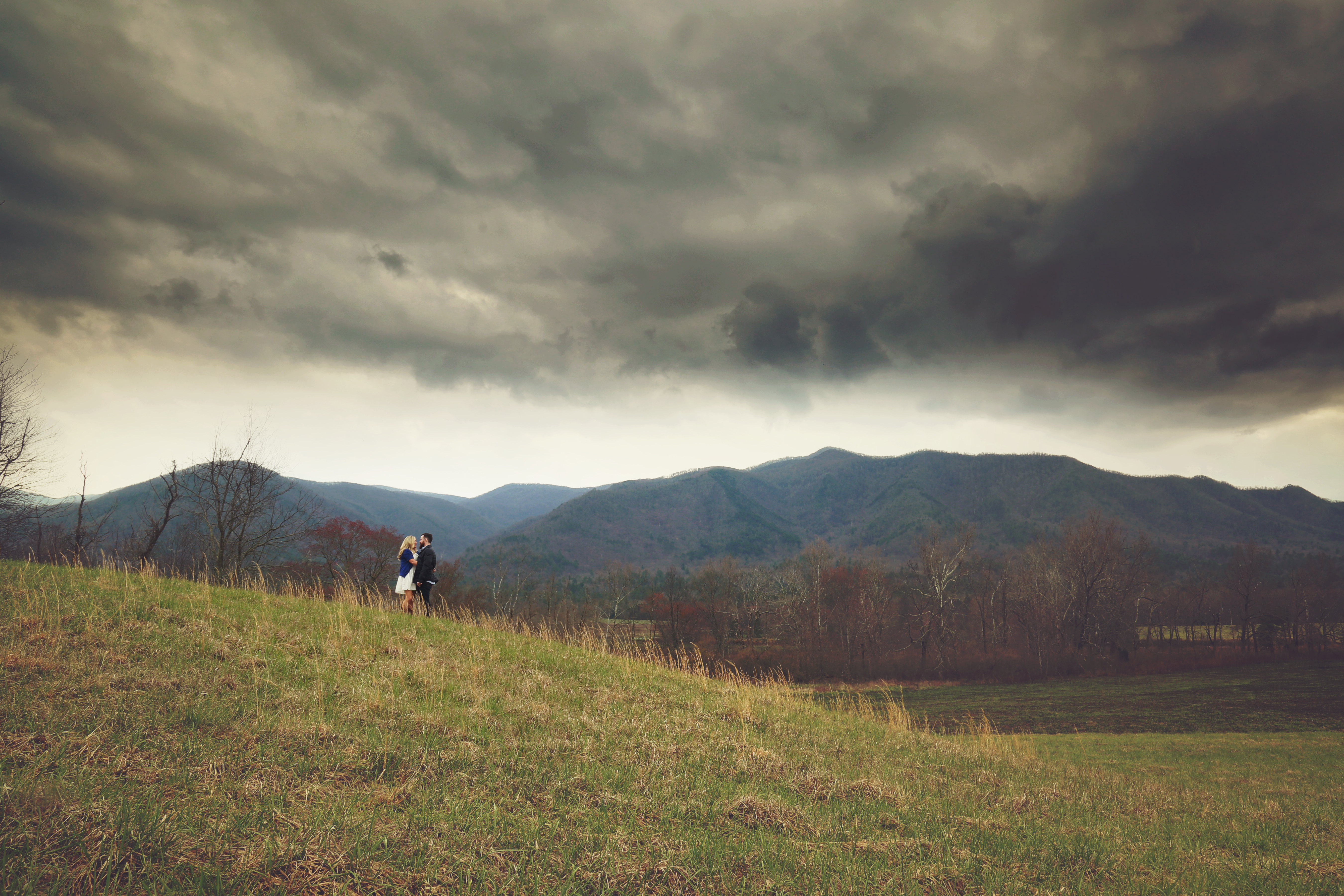 Cades Cove Skies